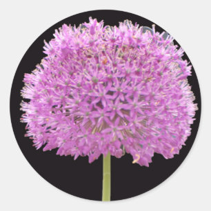 Sticker Rond Illium Summer Spring Flower - Irish Design