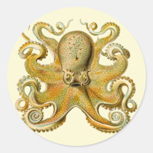Sticker Rond Illustration antique de pieuvre monstre marin