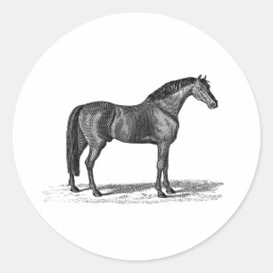 Sticker Rond Illustration Arabe de cheval de 1800s vintages -