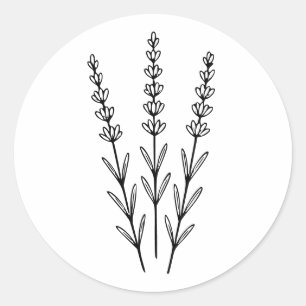 Sticker Rond Illustration botanique de brins de lavande minimal
