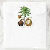 Sticker Rond Illustration botanique de l'arbre à coco (Sac)