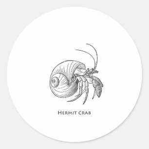 Sticker Rond Illustration de bernard l'ermite (schéma)