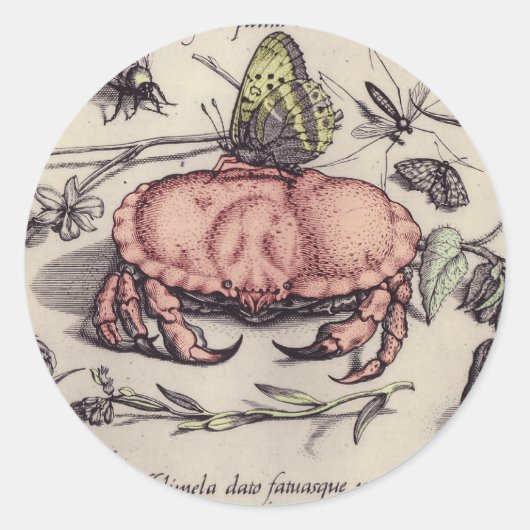 Sticker Rond Illustration de la fleur d'insectes botaniques du  (Devant)