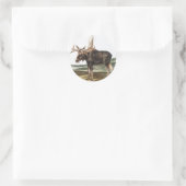Sticker Rond Illustration de Moose Deer (Servus alces) (Sac)