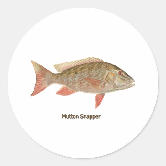 Sticker Rond Illustration de Mutton Snapper (Devant)