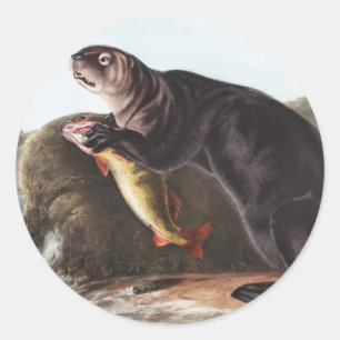 Sticker Rond Illustration de Sea Otter (Marina Enhydra)