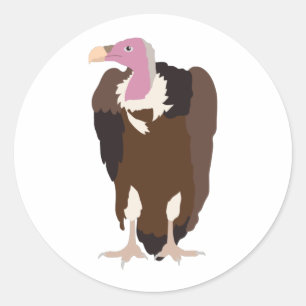 Sticker Rond Illustration des oiseaux vautours
