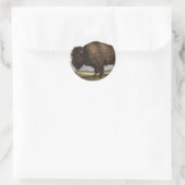 Sticker Rond Illustration du bison américain (Bos Americanus) (Sac)
