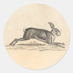 Sticker Rond Illustration du lapin lapin lièvre vintage des ann
