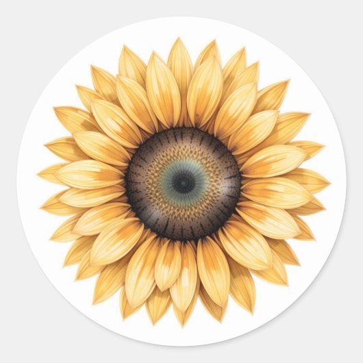 Sticker Rond Illustration du tournesol (Devant)