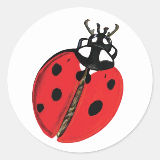 Sticker Rond Illustration Lady Bug (Devant)