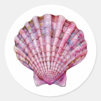 Sticker Rond Illustration vibrante de coquillage rose à l'aquar