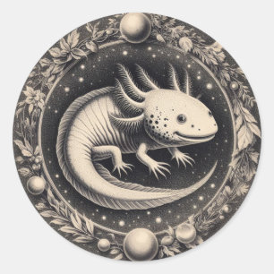 Sticker Rond Illustration Vintage Axolotl Histoire naturelle