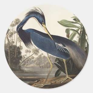 Sticker Rond Illustration vintage d'Audubon du héron de Louisia