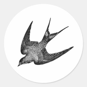 Sticker Rond Illustration vintage d'hirondelle - oiseau 1800's