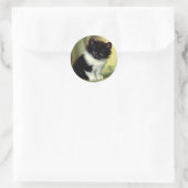 Sticker Rond Illustration vintage Tuxedo Kitten (Sac)