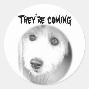 Sticker Rond Ils arrivent