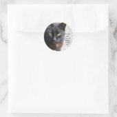 Sticker Rond Image Amoureux des chats noire avec citation motiv (Sac)