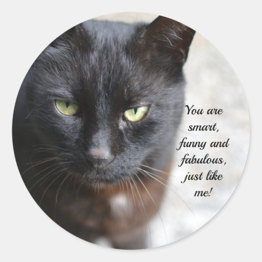 Sticker Rond Image Amoureux des chats noire avec citation motiv (Devant)