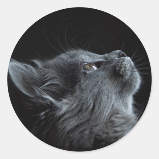 Sticker Rond imagem que combina com qualquer escolha de colagem (Devant)