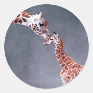 Sticker Rond Images Getty   Mère et bébé Giraffe