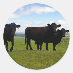 Sticker Rond Impatience