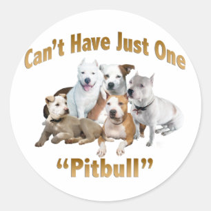 Sticker Rond Impossible d'avoir un seul Pitbull