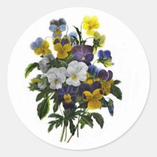 Sticker Rond Impression botanique vintage Pansy
