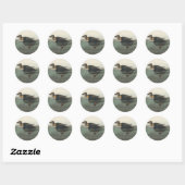 Sticker Rond Impression de Macreuse noire d'Audubon : Canard cô (Feuille)