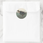 Sticker Rond Impression de Macreuse noire d'Audubon : Canard cô (Sac)
