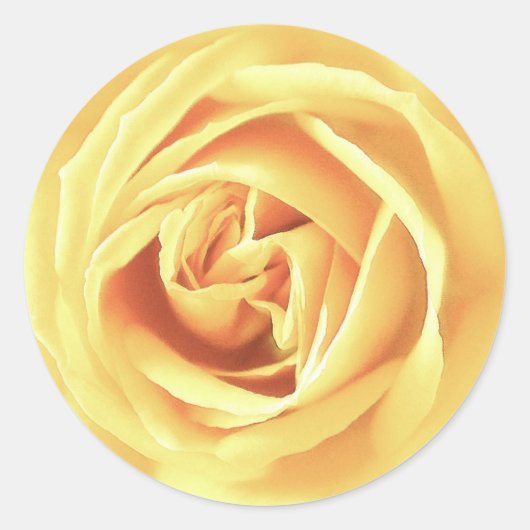 Sticker Rond imprimé rose jaune (Devant)
