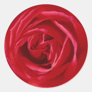 Sticker Rond imprimé rose rouge
