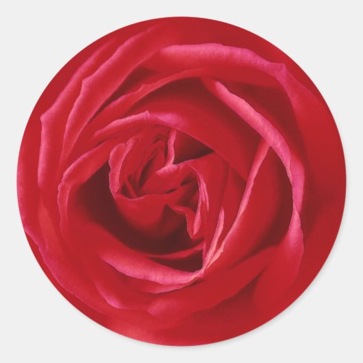 Sticker Rond imprimé rose rouge (Devant)