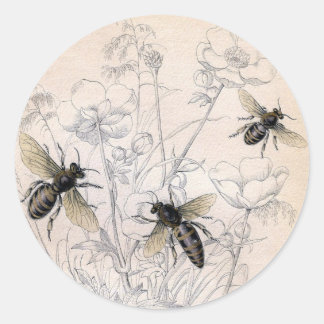 Sticker Rond Imprimerie d'abeilles de miel vintage