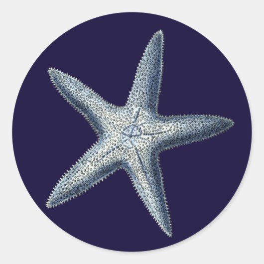 Sticker Rond Indigo Shells IV (Devant)