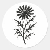 Sticker Rond Ink Aster Bloom Wildflower Illustration on (Devant)