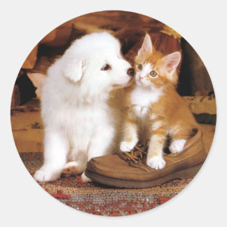 Sticker Rond Innocence, chiot et chaton