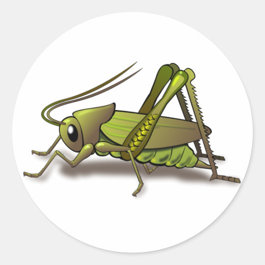 Sticker Rond Insecte verte au cricket (Devant)