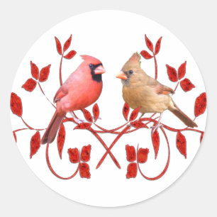 Sticker Rond Inséparables