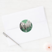 Sticker Rond Iowa Sheep (Enveloppe)
