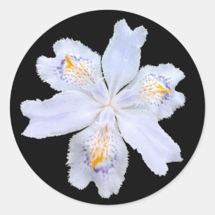 Sticker Rond Iris blanc