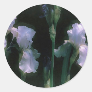 Sticker Rond Iris blancs en fleurs au clair de lune