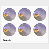 Sticker Rond Iris Dream (Feuille)