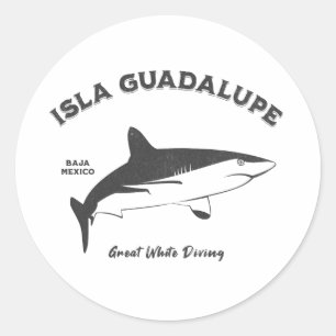 Sticker Rond Isla Guadalupe Grand requin blanc Plongée en détre