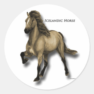 Sticker Rond Islandais vintage
