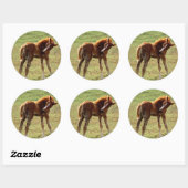 Sticker Rond Itchy Foal (Feuille)