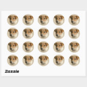 Sticker Rond Jack Russell Puppy (Feuille)