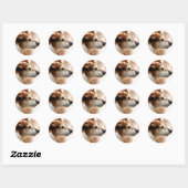 STICKER ROND JACK RUSSELL TERRIER CHIEN (Feuille)