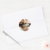 STICKER ROND JACK RUSSELL TERRIER CHIEN (Enveloppe)
