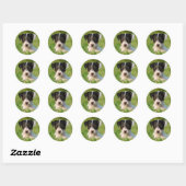Sticker Rond Jack Russell Terrier puppy (Feuille)